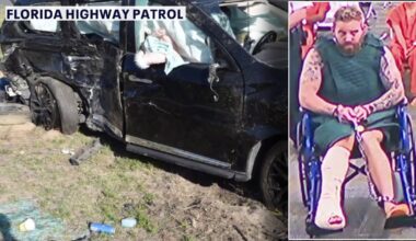 Ex-Temple Terrace police officer expected to enter plea in crash that killed 6-year-old girl