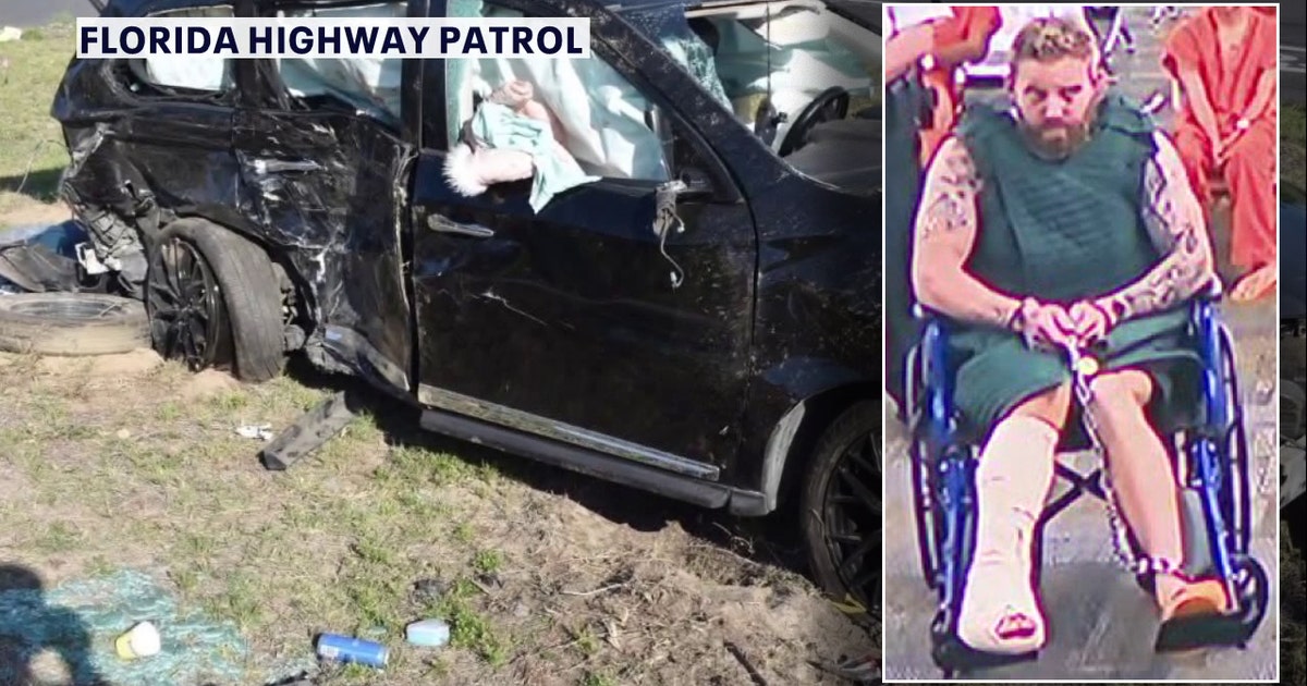 Ex-Temple Terrace police officer expected to enter plea in crash that killed 6-year-old girl