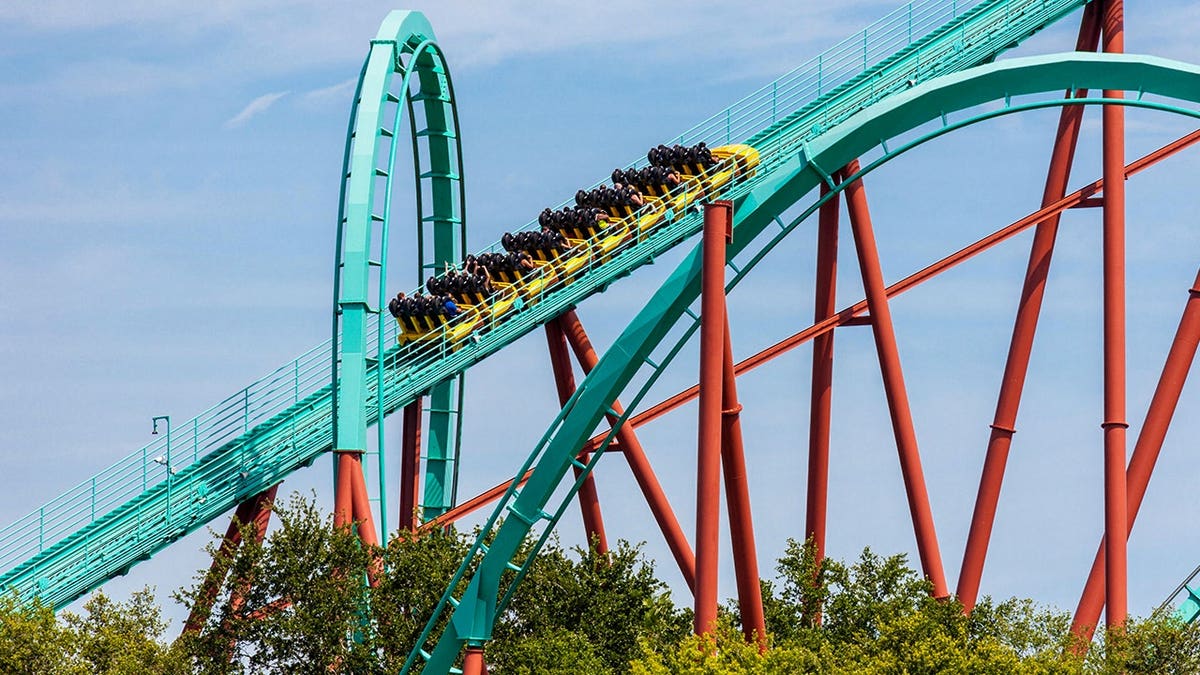 Kumba roller coaster at Busch Gardens theme park in Tampa, Florida.
