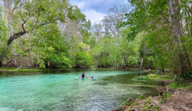 Forget Crowded Rainbow Springs, Visit Florida's Underrated State Park With Wetland Trails And Serene Swims