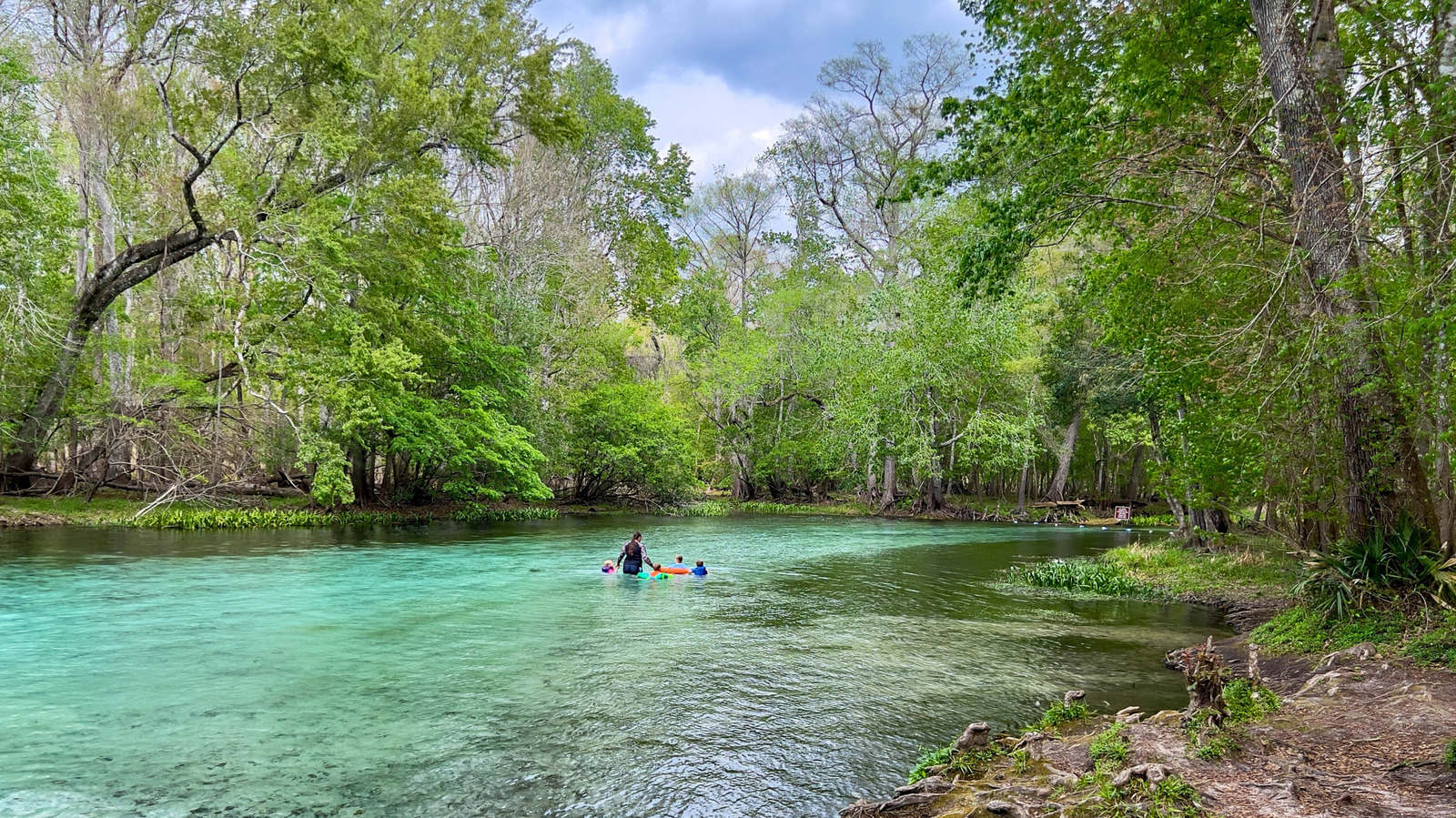 Forget Crowded Rainbow Springs, Visit Florida's Underrated State Park With Wetland Trails And Serene Swims