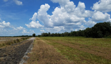 Between Tampa And Fort Myers Is Florida's Former Cattle Ranch Transformed Into A Hiking Haven With Wildlife