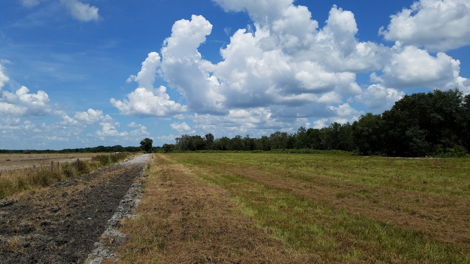 Between Tampa And Fort Myers Is Florida's Former Cattle Ranch Transformed Into A Hiking Haven With Wildlife