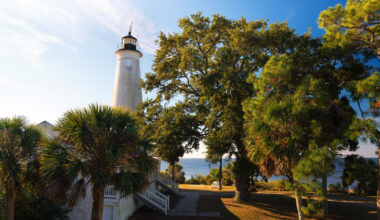 Florida's Wildlife Refuge Outside Tallahassee Is A Birdwatching Haven With Fishing Spots And Scenic Trails