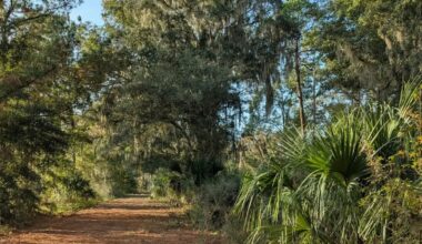 Between Jacksonville And Tampa Is Florida's Lesser-Known State Park With Secluded Trails And Unique Wildlife