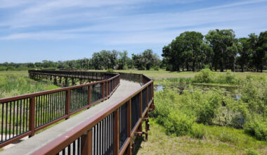 Between Gainesville And Orlando Is Florida's Scenic Wetland Nature Park For A Family-Friendly Getaway