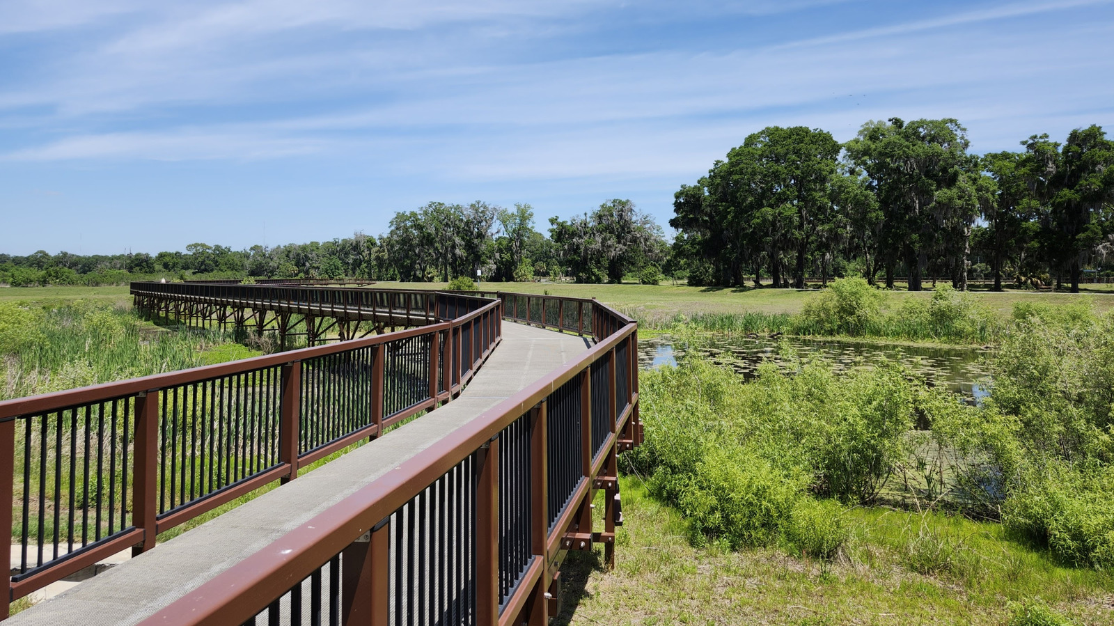 Between Gainesville And Orlando Is Florida's Scenic Wetland Nature Park For A Family-Friendly Getaway