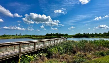 Between Jacksonville And Tampa Is Florida's Scenic Wetland Preserve With Boardwalk Trails And Unique Wildlife