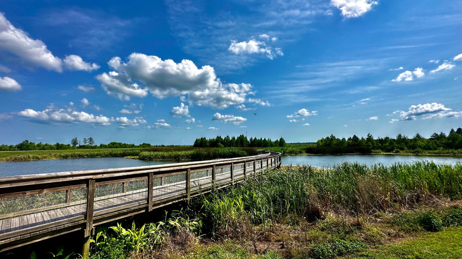 Between Jacksonville And Tampa Is Florida's Scenic Wetland Preserve With Boardwalk Trails And Unique Wildlife