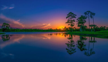 Florida's Tropical Paradise Is An Under-The-Radar Wetland State Park Full Of Wildlife And Extensive Trails