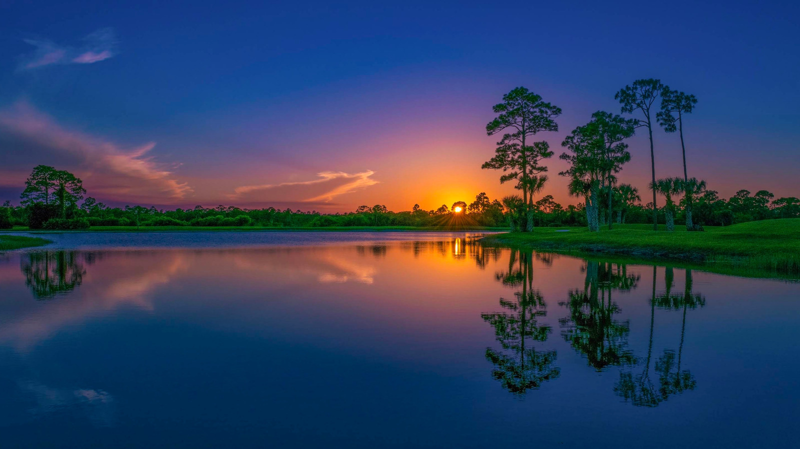 Florida's Tropical Paradise Is An Under-The-Radar Wetland State Park Full Of Wildlife And Extensive Trails