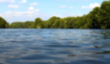81-year-old man drowns in South Carolina lake