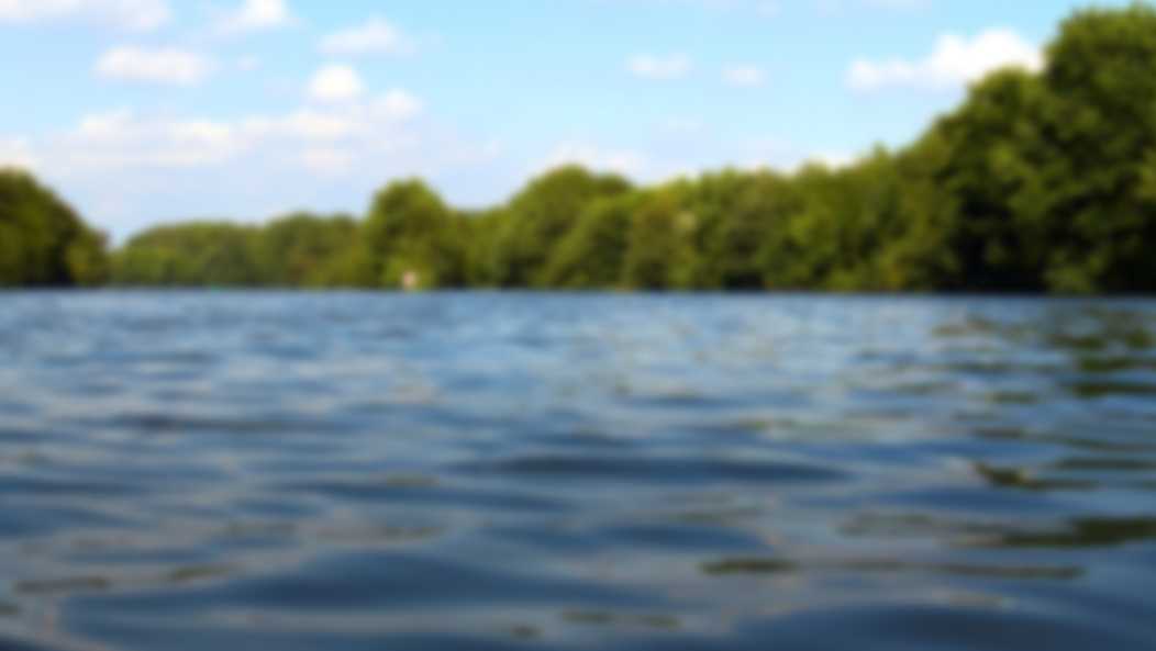 81-year-old man drowns in South Carolina lake