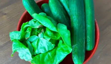 Bowl of lettuce and cucumbers