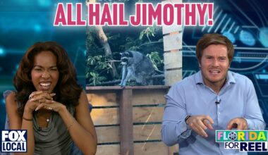 Viral sensation "Jimothy" | Florida For Reel