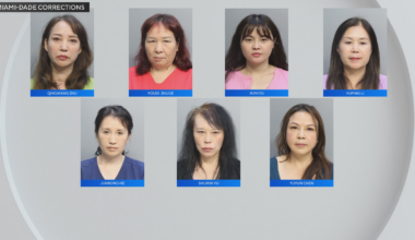 7 women arrested in Miami-Dade massage parlor prostitution bust; some lacked valid licenses, records show