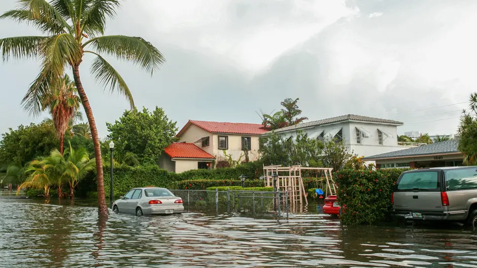 Climate resilience