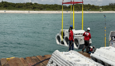 3D-printed SEAHIVE reefs aim to shield Miami’s coastline