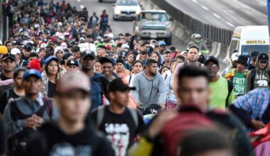 Florida undocumented ban; birthright citizenship decision