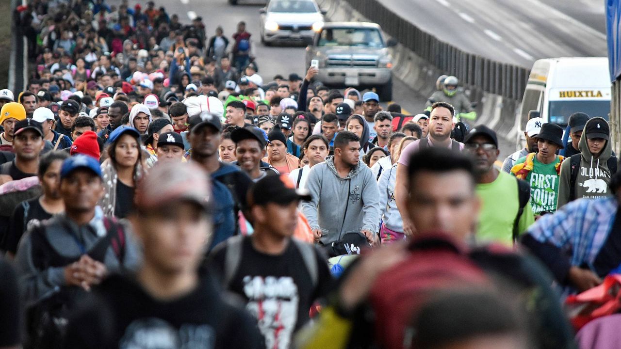 Florida undocumented ban; birthright citizenship decision