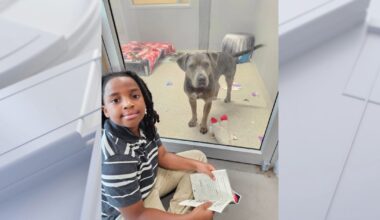 Boy, 11, spends 100 hours reading to shelter animals at Jacksonville Humane Society