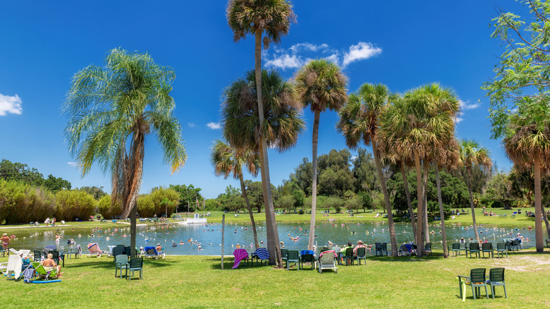 People siting on the grass under palm trees around Warm Mineral Springs in North Port, Florida