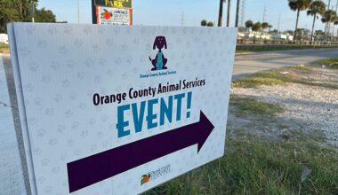 Orange's animal services vaccinates, microchips 500 dogs