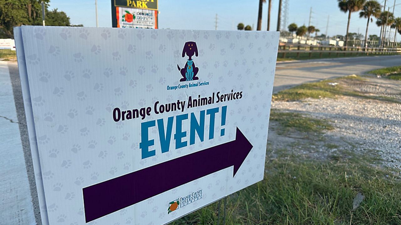 Orange's animal services vaccinates, microchips 500 dogs