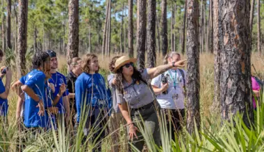 A secret fan donates nearly $1 million to help save South Florida's rare pine rocklands.