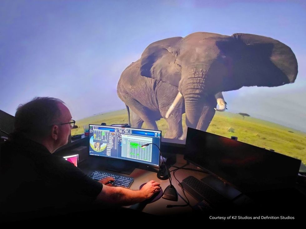 Person working at computer, developing custom content for Orlando Science Center with large elephant projection in background.