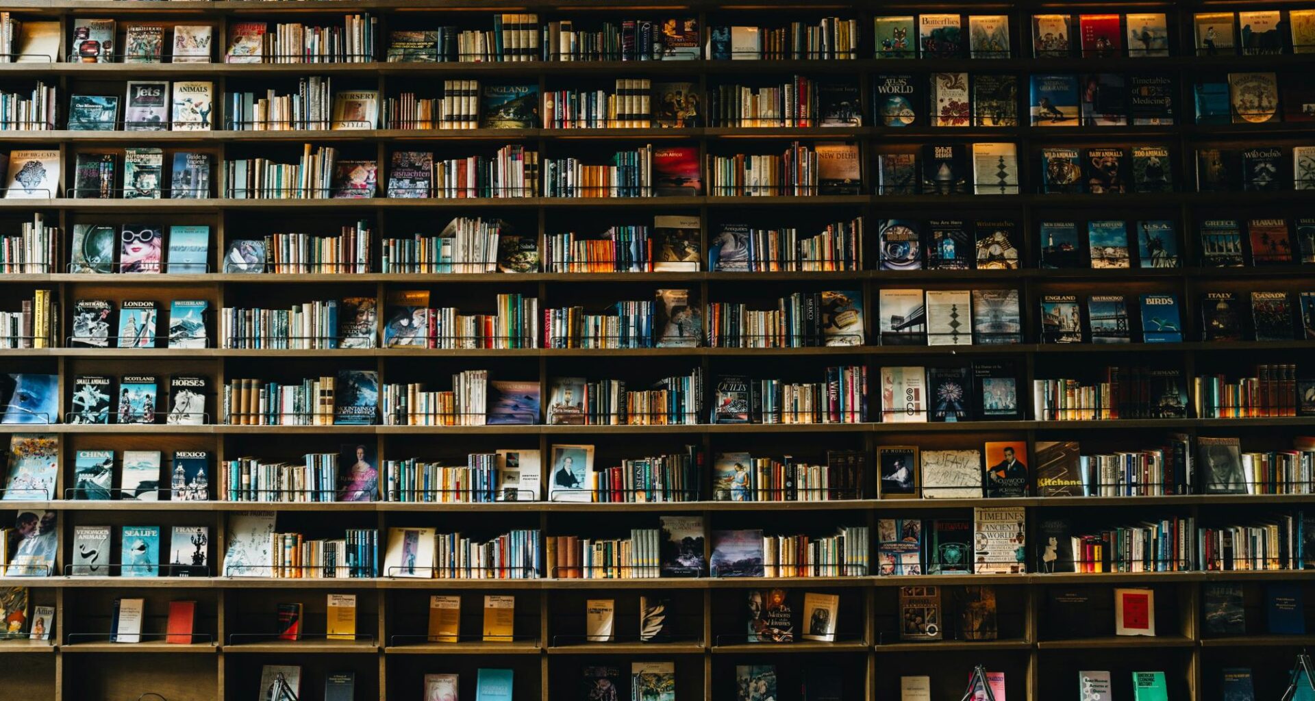 Literacy rates, UNF perspectives, and community solutions