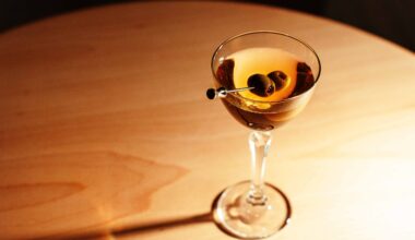 Top Martinis In Tampa Bay