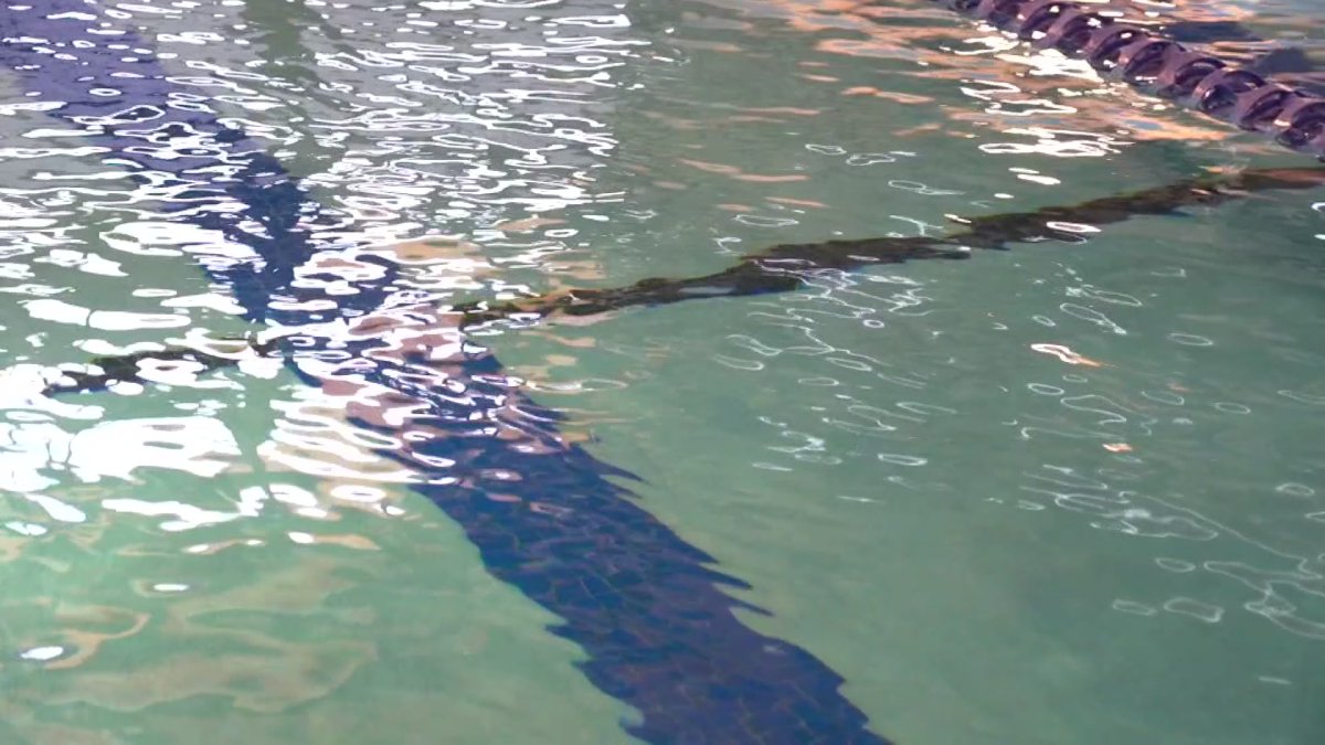 Officials to discuss recent South Florida drownings and how to prevent them – NBC 6 South Florida
