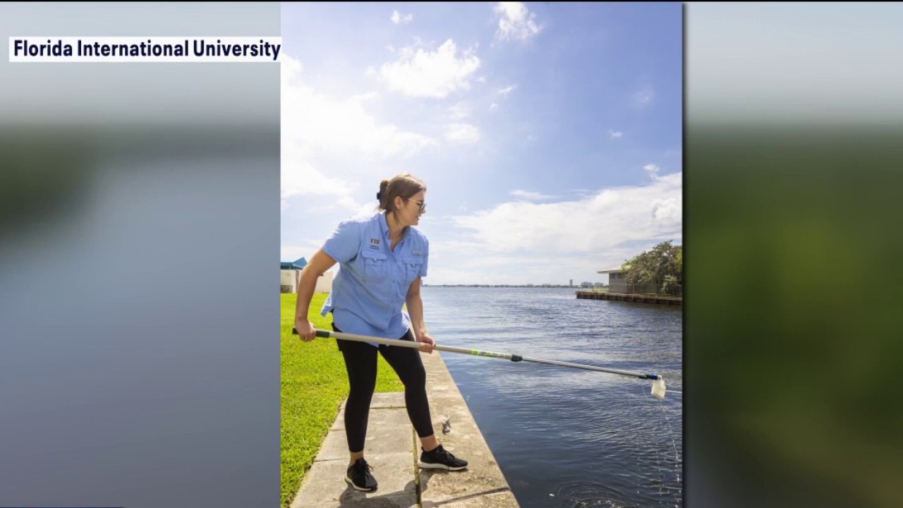 Tires, toxins studied in Hillsborough River
