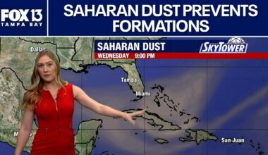 No tropical formations expected soon