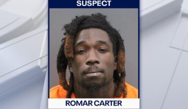 Hillsborough man arrested, accused of kicking and hitting dog: Deputies