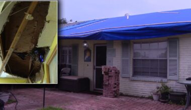 Brandon home seriously damaged after tree goes through roof