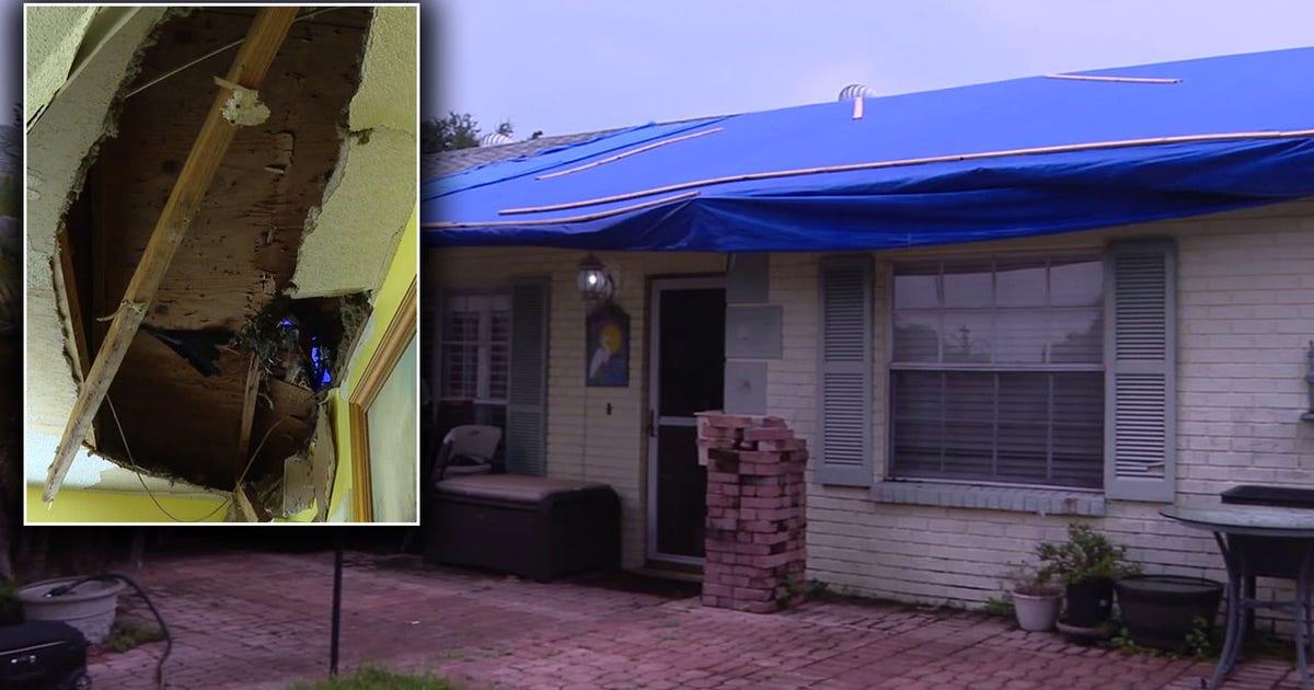 Brandon home seriously damaged after tree goes through roof