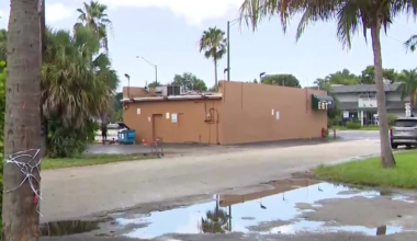 South Florida mother pleads for justice after stranger allegedly attacks her and disabled son