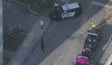 Stolen vehicle suspect caused chase spanning 3 Broward cities, police say