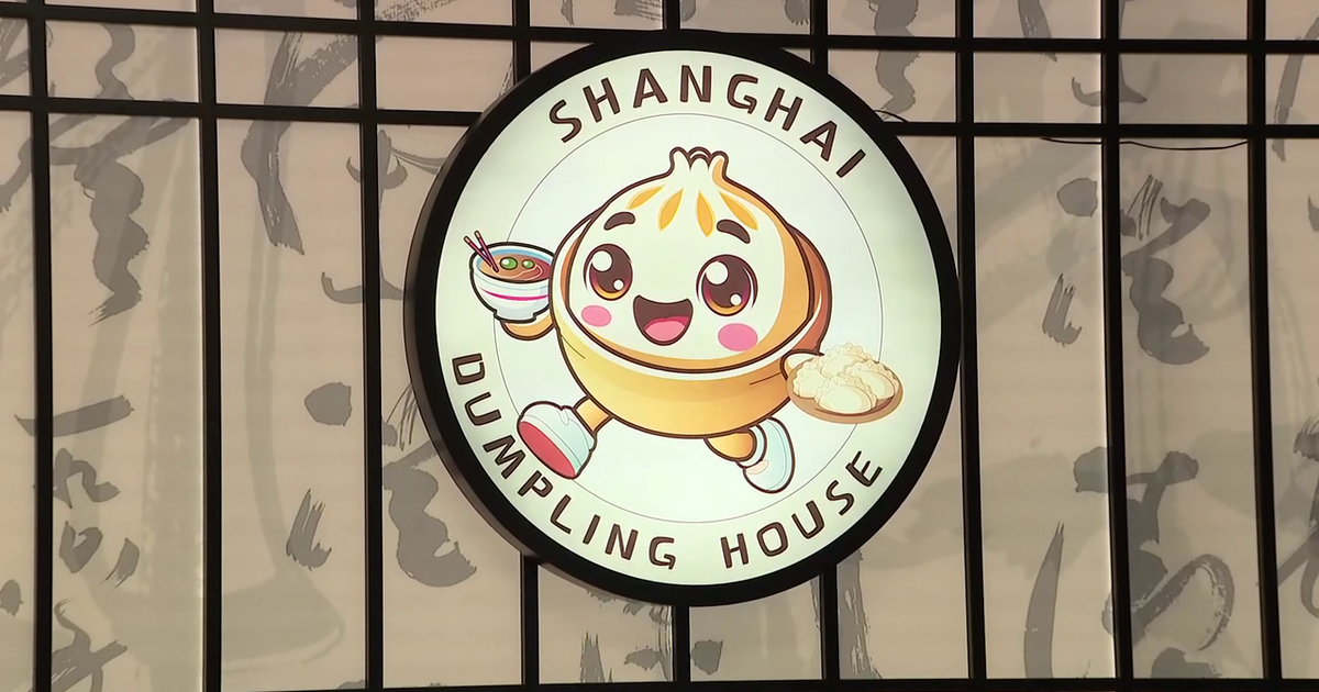 Hand-crafted Chinese dumplings create a stir for new restaurant near USF