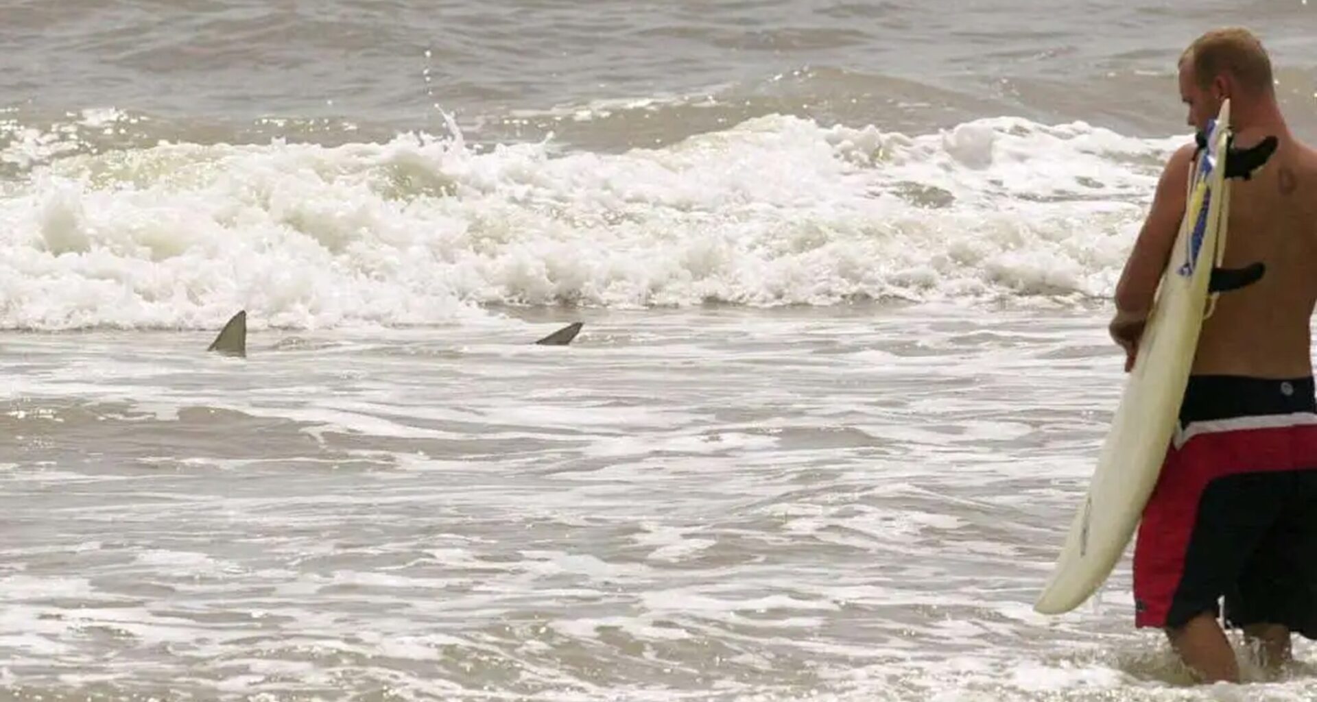 Florida tourist bit by shark, officials say – The Press Democrat
