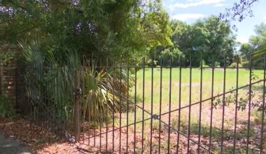 Tampa cemetery requesting change in land use