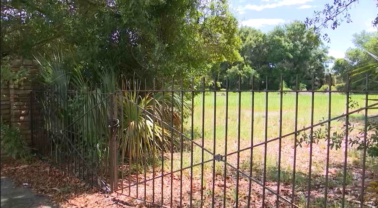 Tampa cemetery requesting change in land use