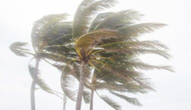 Tropical Storm Bertha Forms Off FL Coast: National Hurricane Center