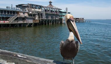 8 Florida Towns With A Slower Pace Of Life