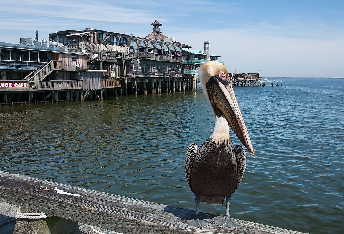 8 Florida Towns With A Slower Pace Of Life