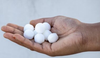St. Pete Beach Hotel Owner, Bar Owner Arrested For Dumping Toxic Mothballs On Beach