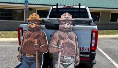 Florida man faces 10 years for stealing Smokey Bear signs – Orlando Sentinel