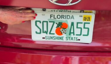 Squeeze what?! A South Florida woman is the talk of her town with a racy license plate she got in the mail